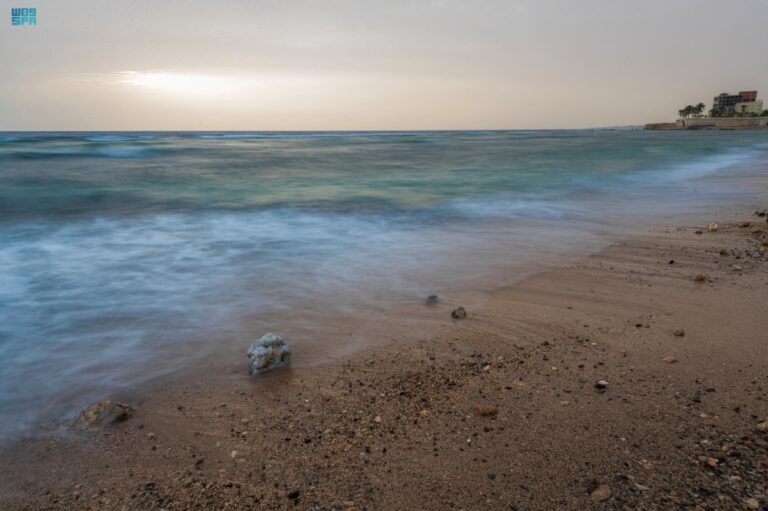 صور-|-التكوينات-الصخرية.-تناغم-بصري-مبهر-على-سواحل-محافظة-الوجه