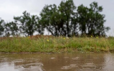 شاهد بالصور.. الأمطار تنعش الحركة السياحية في الأسياح بالقصيم