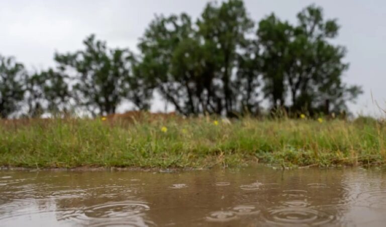 شاهد-بالصور.-الأمطار-تنعش-الحركة-السياحية-في-الأسياح-بالقصيم