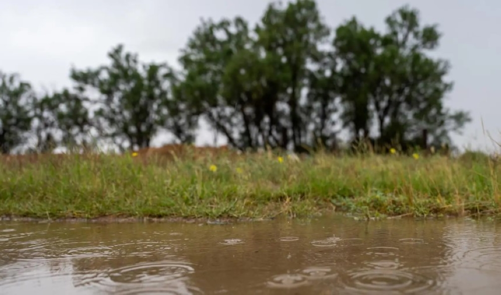 شاهد بالصور.. الأمطار تنعش الحركة السياحية في الأسياح بالقصيم
