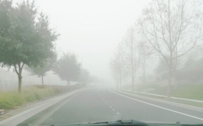 طقس الصباح الباكر.. أمطار متوسطة وضباب على أجزاء من الشرقية