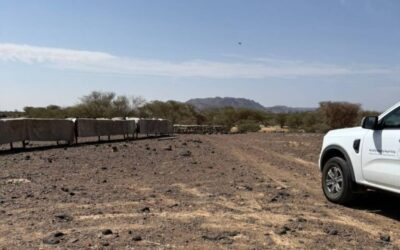 بيئة رنية تراقب النحالين لتعزيز جودة العسل