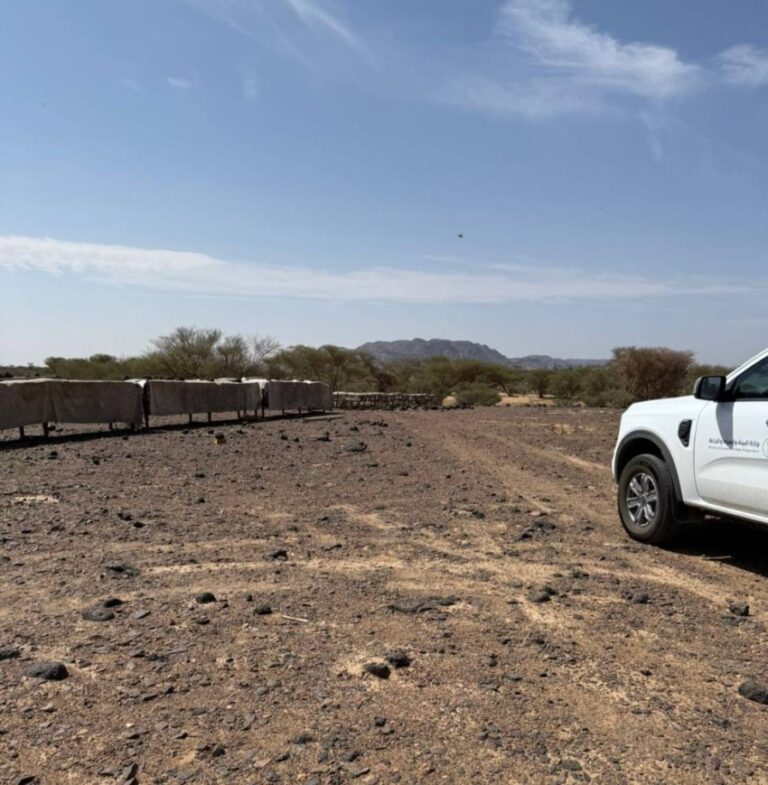 بيئة-رنية-تراقب-النحالين-لتعزيز-جودة-العسل