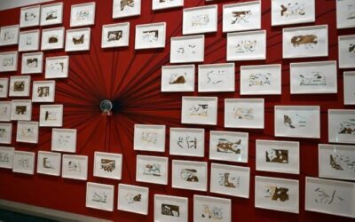 صور.. أكثر من ألف قطعة أثرية وفنية تروي تاريخ البحر الأحمر بمتحف جدة