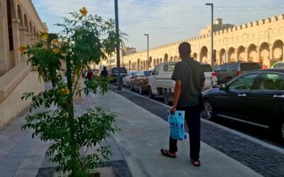 جلسات خارجية وفعاليات مستدامة.. مقترحات الزوار لتطوير سوق القيصرية