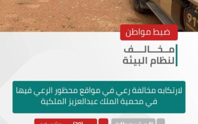 الأمن البيئي يضبط مواطنًا لارتكابه مخالفة رعي في مواقع محظور الرعي فيها