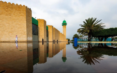 أمطار وأجواء الطائف تستقطب الأهالي والزوار