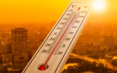 وفاة 10 أشخاص جراء موجة حر شديدة في كراتشي