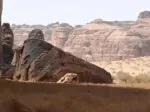 صور | محمية شرعان في العُلا.. نموذج عالمي لإدارة البيئات الصحراوية