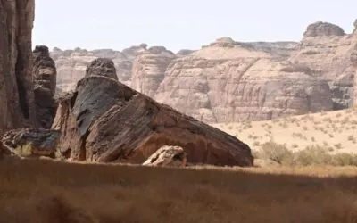 صور | محمية شرعان في العُلا.. نموذج عالمي لإدارة البيئات الصحراوية