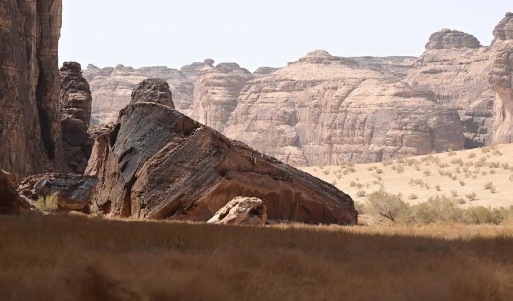 صور | محمية شرعان في العُلا.. نموذج عالمي لإدارة البيئات الصحراوية