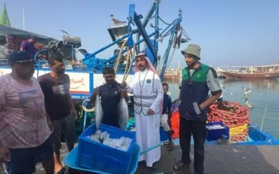 بيئة القنفذة تراقب مراكب الصيد تزامناً مع بدء حظر صيد الروبيان