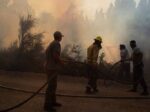 حرائق الغابات تسجل مستويات قياسية مع اقتراب موجة حر غير مسبوقة