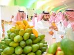 50 مزارعاً ومليون شجرة.. صبيا تحتفي بموسم المانجو وتبرز قوتها الزراعية