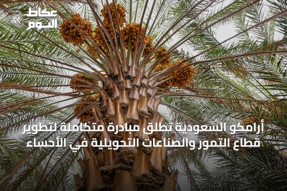 أرامكو السعودية تطلق مبادرة متكاملة لتطوير قطاع التمور والصناعات التحويلية في الأحساء