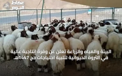 البيئة والمياه والزراعة تعلن عن وفرة إنتاجية عالية في الثروة الحيوانية لتلبية احتياجات حج 1447هـ
