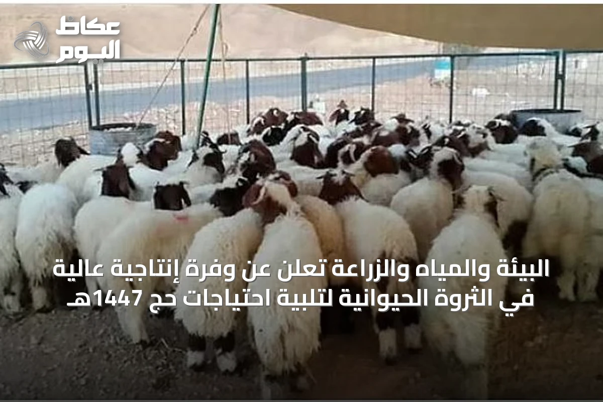 البيئة والمياه والزراعة تعلن عن وفرة إنتاجية عالية في الثروة الحيوانية لتلبية احتياجات حج 1447هـ