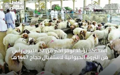 المملكة تؤكد توفر أكثر من 32 مليون رأس من الثروة الحيوانية لاستقبال حجاج 1447هـ