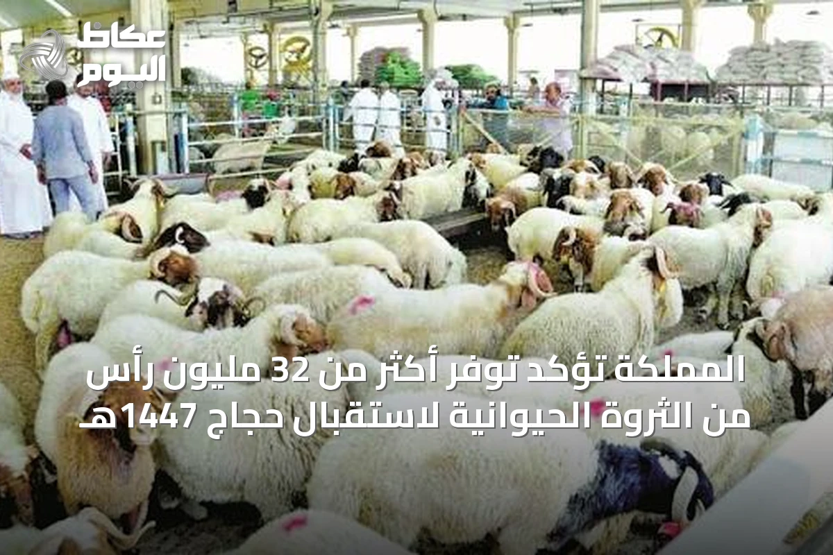 المملكة تؤكد توفر أكثر من 32 مليون رأس من الثروة الحيوانية لاستقبال حجاج 1447هـ