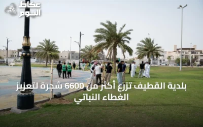 بلدية القطيف تزرع أكثر من 6600 شجرة لتعزيز الغطاء النباتي