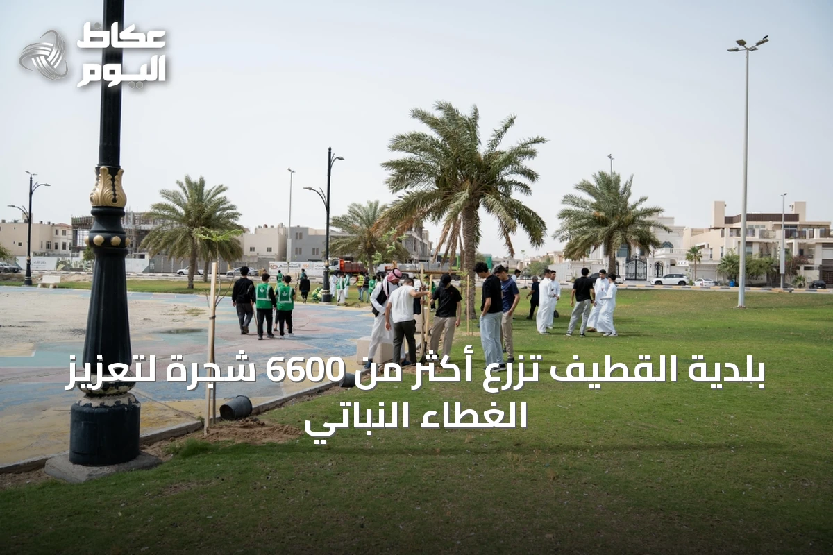 بلدية القطيف تزرع أكثر من 6600 شجرة لتعزيز الغطاء النباتي