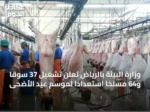 وزارة البيئة بالرياض تعلن تشغيل 37 سوقًا و64 مسلخًا استعدادًا لموسم عيد الأضحى