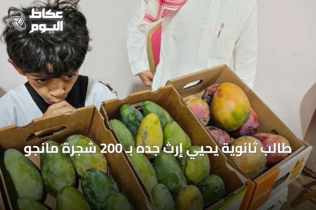 طالب ثانوية يحيي إرث جده بـ 200 شجرة مانجو