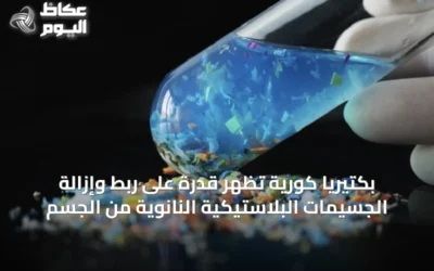 بكتيريا كورية تُظهر قدرة على ربط وإزالة الجسيمات البلاستيكية النانوية من الجسم