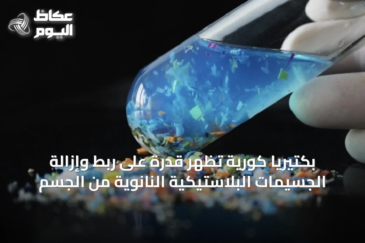 بكتيريا كورية تُظهر قدرة على ربط وإزالة الجسيمات البلاستيكية النانوية من الجسم
