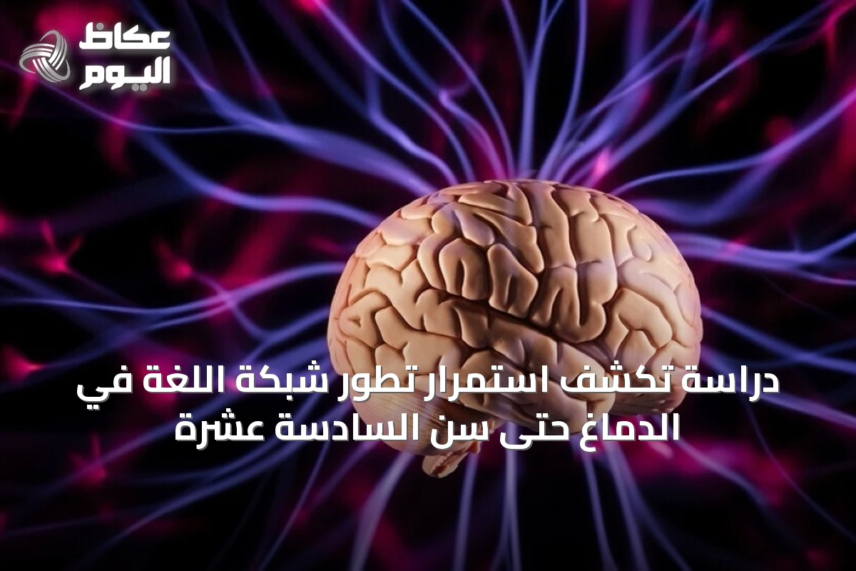 دراسة تكشف استمرار تطور شبكة اللغة في الدماغ حتى سن السادسة عشرة