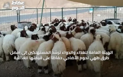 الهيئة العامة للغذاء والدواء ترشد المستهلكين إلى أفضل طرق طهي لحوم الأضاحي حفاظاً على قيمتها الغذائية