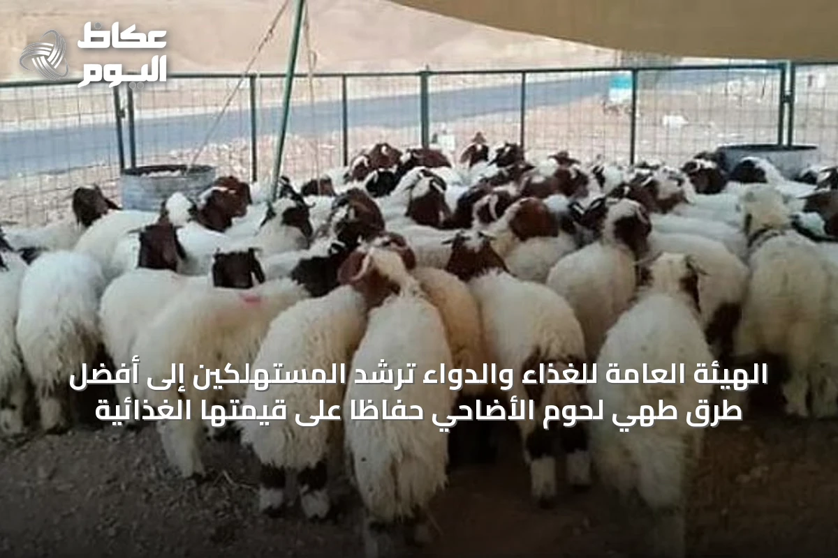 الهيئة العامة للغذاء والدواء ترشد المستهلكين إلى أفضل طرق طهي لحوم الأضاحي حفاظاً على قيمتها الغذائية
