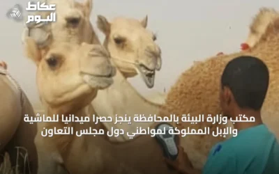 مكتب وزارة البيئة بالمحافظة ينجز حصرًا ميدانيًا للماشية والإبل المملوكة لمواطني دول مجلس التعاون