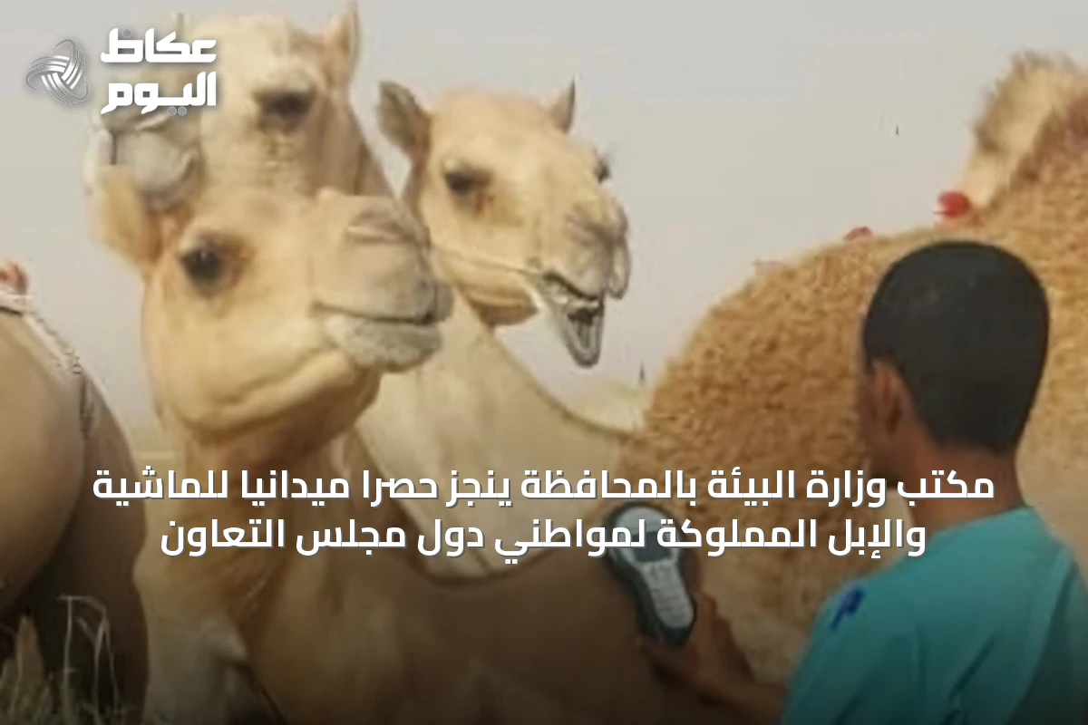 مكتب وزارة البيئة بالمحافظة ينجز حصرًا ميدانيًا للماشية والإبل المملوكة لمواطني دول مجلس التعاون