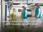 وزارة الموارد البشرية تكثف الرقابة على منشآت القطاع الخاص خلال موسم حج 1447هـ