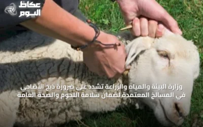 وزارة البيئة والمياه والزراعة تشدد على ضرورة ذبح الأضاحي في المسالخ المعتمدة لضمان سلامة اللحوم والصحة العامة