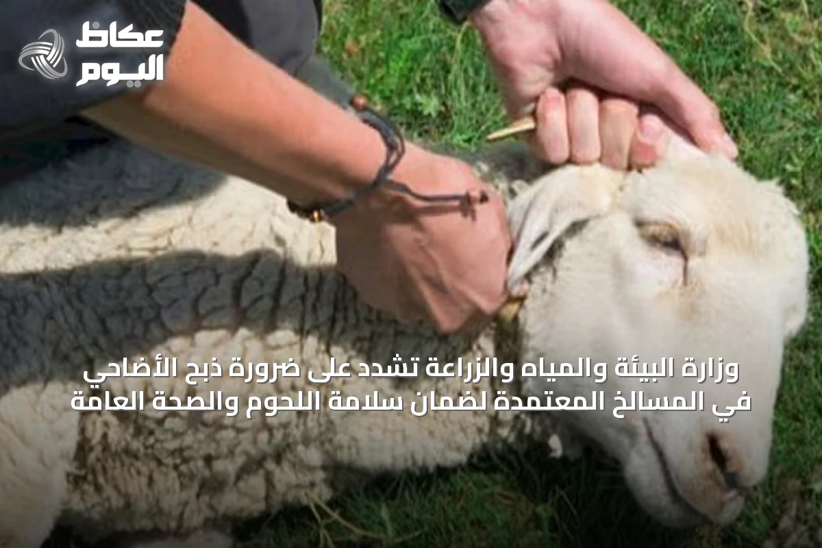 وزارة البيئة والمياه والزراعة تشدد على ضرورة ذبح الأضاحي في المسالخ المعتمدة لضمان سلامة اللحوم والصحة العامة