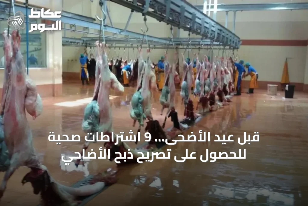قبل عيد الأضحى… 9 اشتراطات صحية للحصول على تصريح ذبح الأضاحي