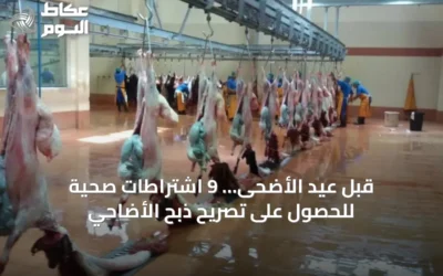 قبل عيد الأضحى… 9 اشتراطات صحية للحصول على تصريح ذبح الأضاحي