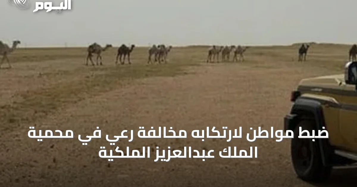 ضبط مواطن لارتكابه مخالفة رعي في محمية الملك عبدالعزيز الملكية