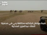 ضبط مواطن لارتكابه مخالفة رعي في محمية الملك عبدالعزيز الملكية