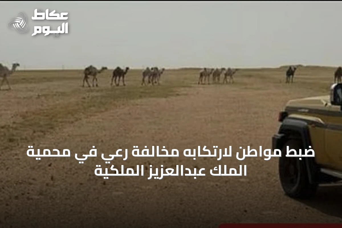 ضبط مواطن لارتكابه مخالفة رعي في محمية الملك عبدالعزيز الملكية