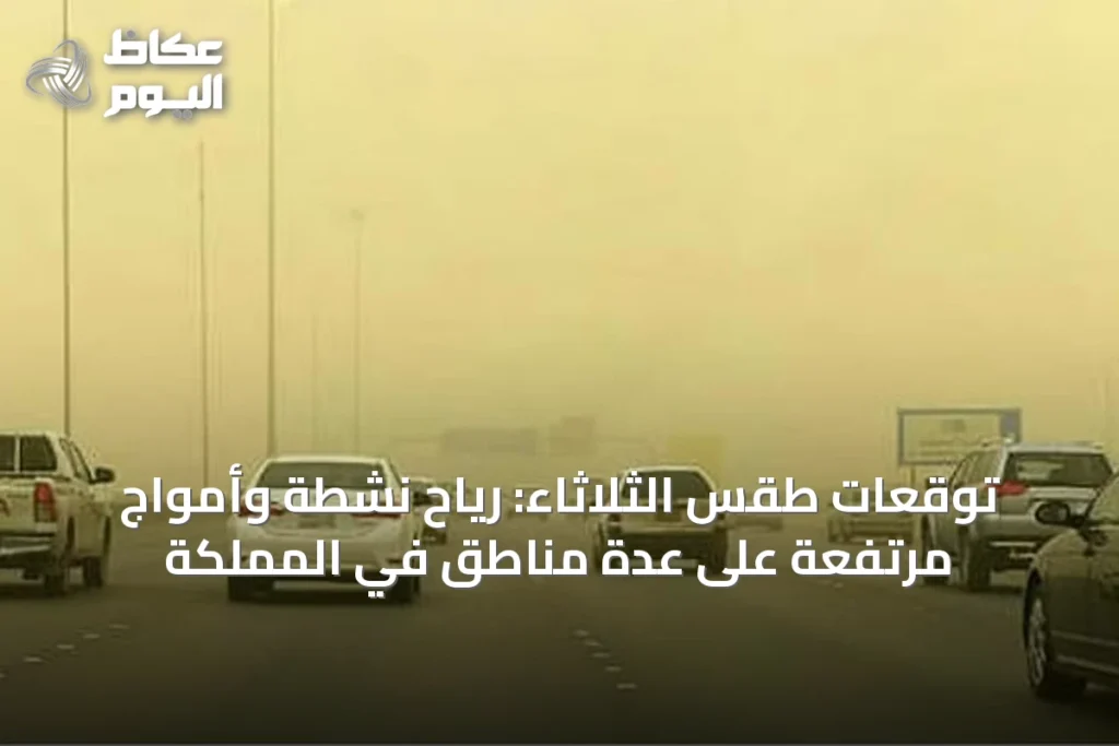 توقعات طقس الثلاثاء: رياح نشطة وأمواج مرتفعة على عدة مناطق في المملكة