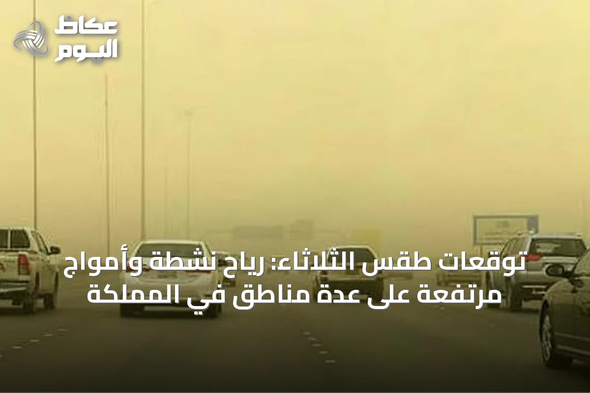 توقعات طقس الثلاثاء: رياح نشطة وأمواج مرتفعة على عدة مناطق في المملكة