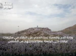 وزارة الحج والعمرة تحث الحجاج على البقاء في مخيمات عرفات حتى الرابعة عصرًا لحمايتهم من الشمس