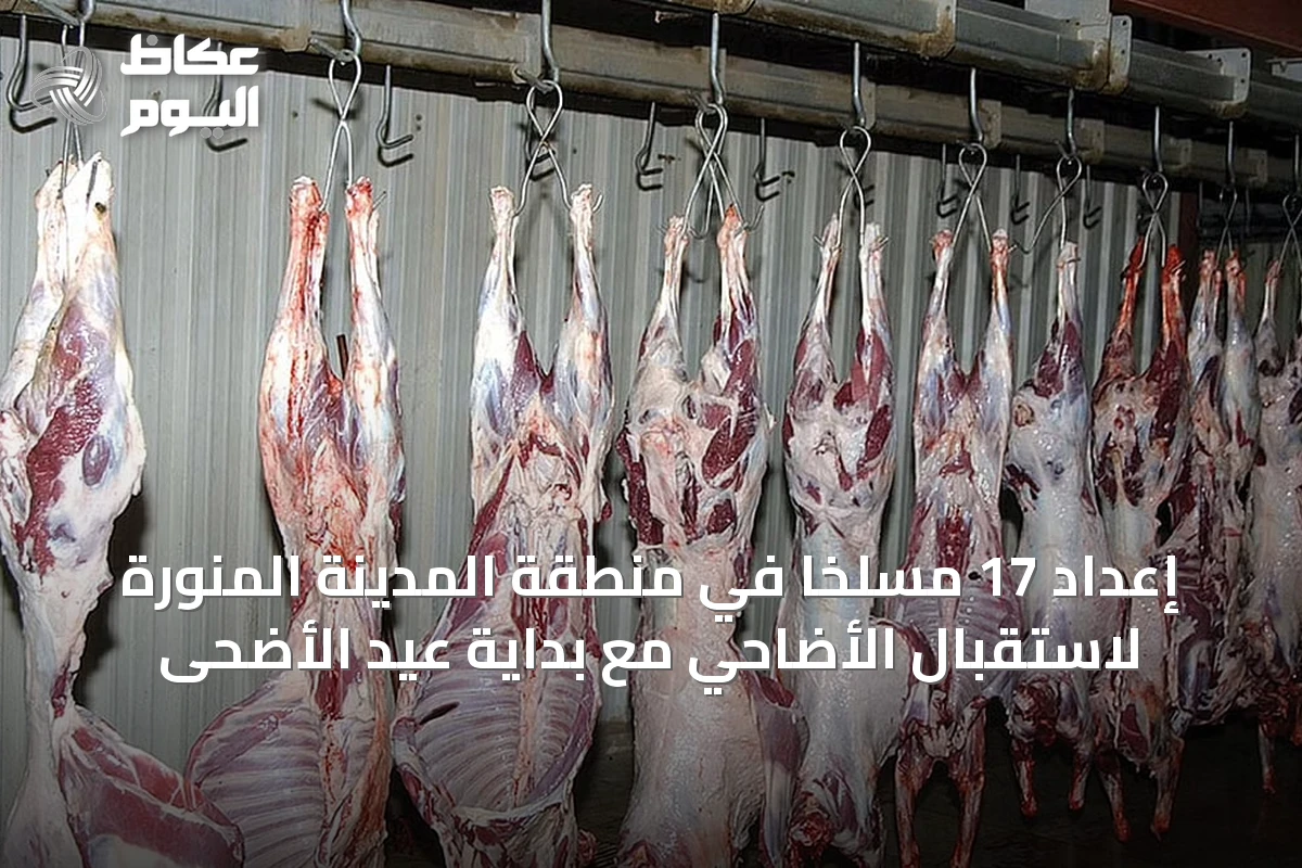 إعداد 17 مسلخًا في منطقة المدينة المنورة لاستقبال الأضاحي مع بداية عيد الأضحى