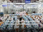 شركة تصنيع كرات القدم تنتج مليون كرة تذكارية استعدادًا لكأس العالم 2026