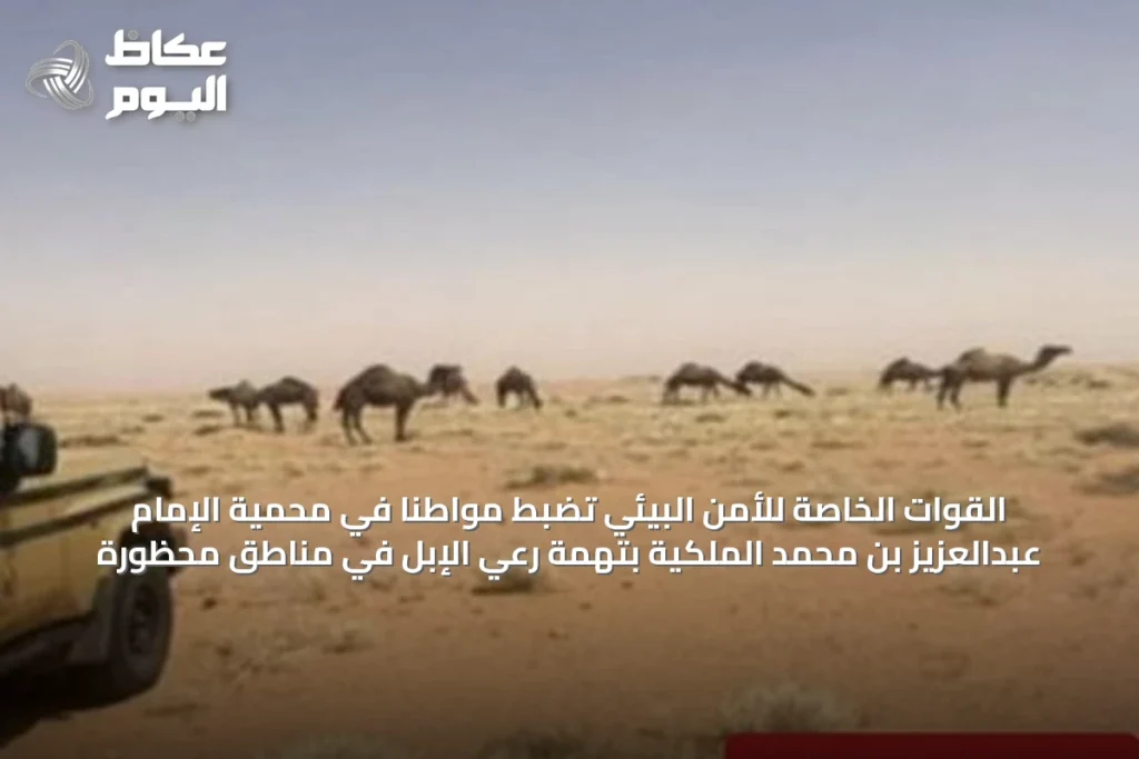 القوات الخاصة للأمن البيئي تضبط مواطنًا في محمية الإمام عبدالعزيز بن محمد الملكية بتهمة رعي الإبل في مناطق محظورة