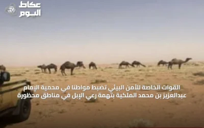 القوات الخاصة للأمن البيئي تضبط مواطنًا في محمية الإمام عبدالعزيز بن محمد الملكية بتهمة رعي الإبل في مناطق محظورة
