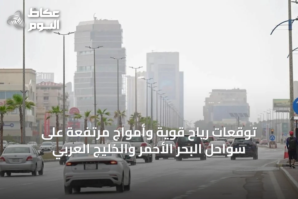 توقعات رياح قوية وأمواج مرتفعة على سواحل البحر الأحمر والخليج العربي